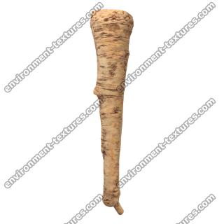 Parsley Root 3D Scan Retopo